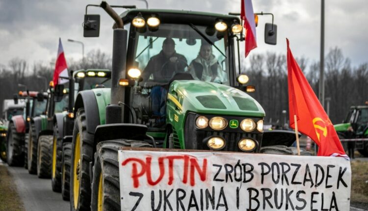 Україна повинна відповідати європейським нормам – міністр сільського господарства Польщі