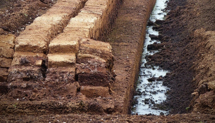 Компанія колишнього нардепа виграла суд щодо компенсації за невдалий тендер на видобуток торфу