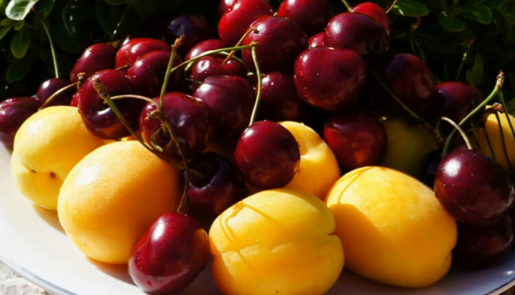 Чи зможе імпорт компенсувати нестачу черешні та вишні в Україні згідно з прогнозами експертів