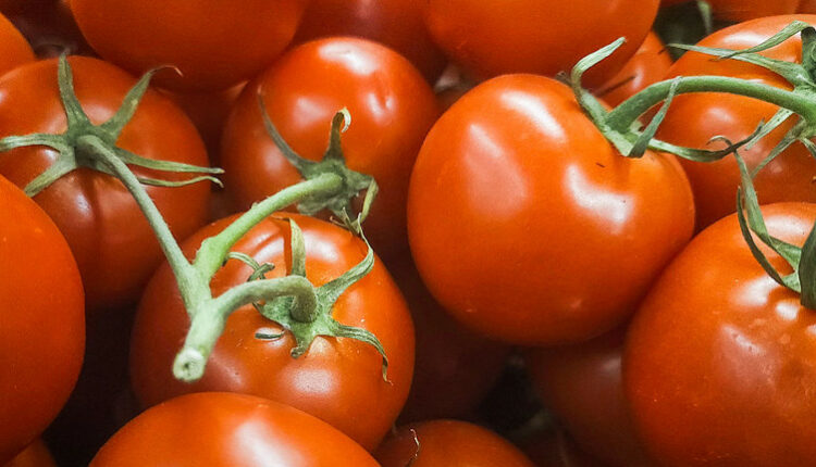 В Україні перед святами зрослий попит піднімає ціни на помідори